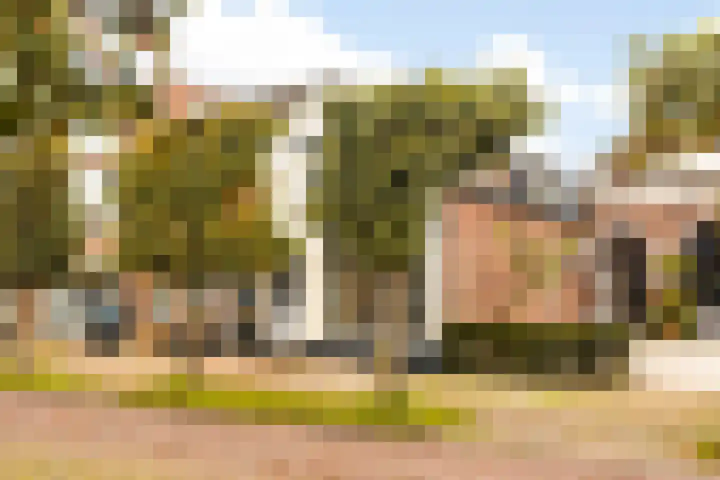 Voorstraat 44 Beesd thumbnail 31