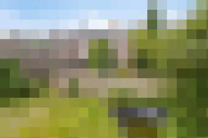 Voorstraat 44 Beesd thumbnail 32