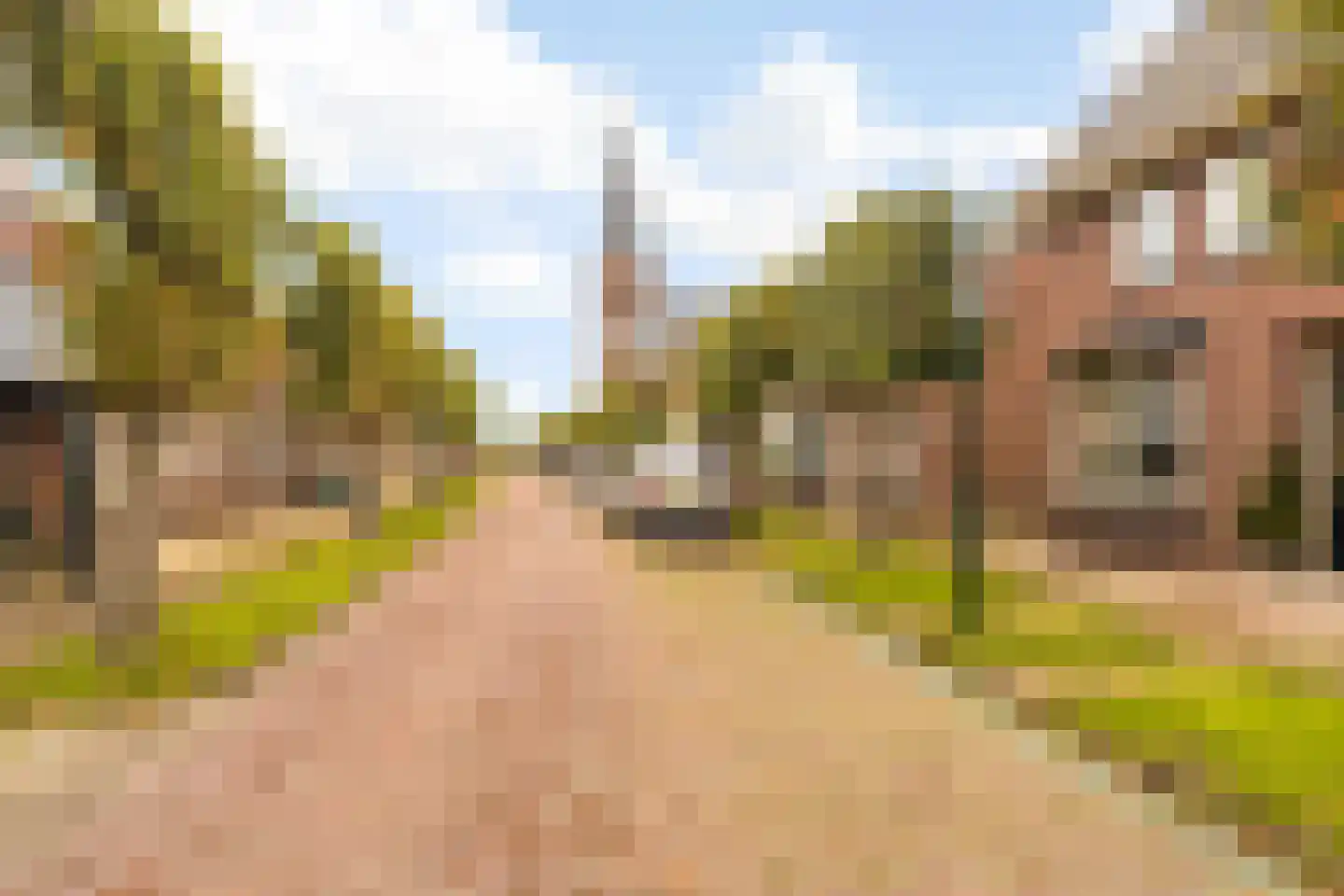 Voorstraat 44 Beesd thumbnail 32
