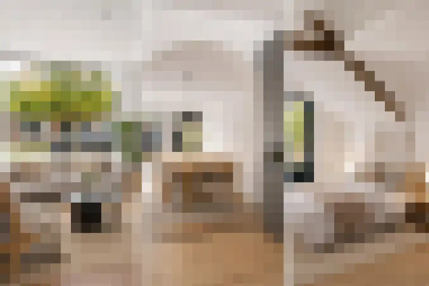 Voorstraat 44 Beesd thumbnail 7