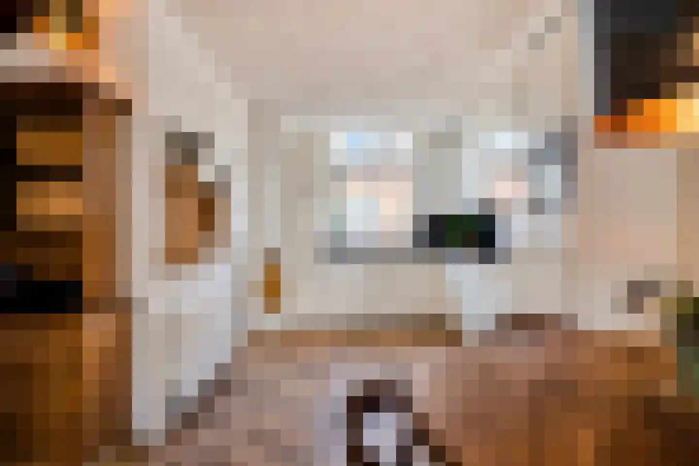 Voorstraat 44 Leiden thumbnail 11