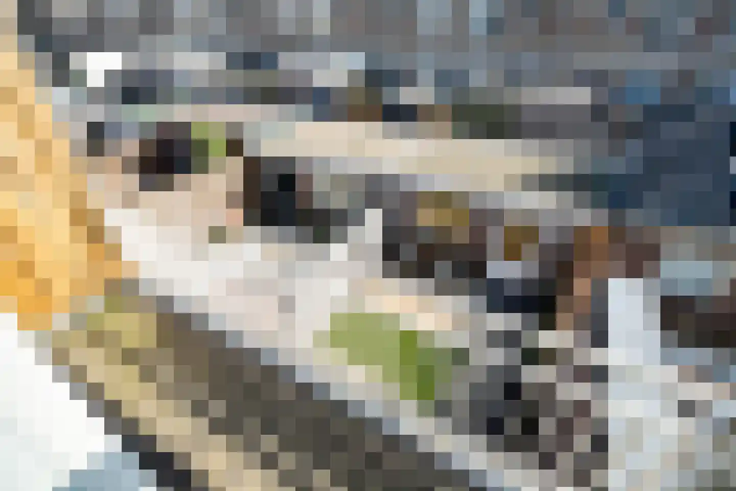 Voorstraat 44 Leiden thumbnail 29