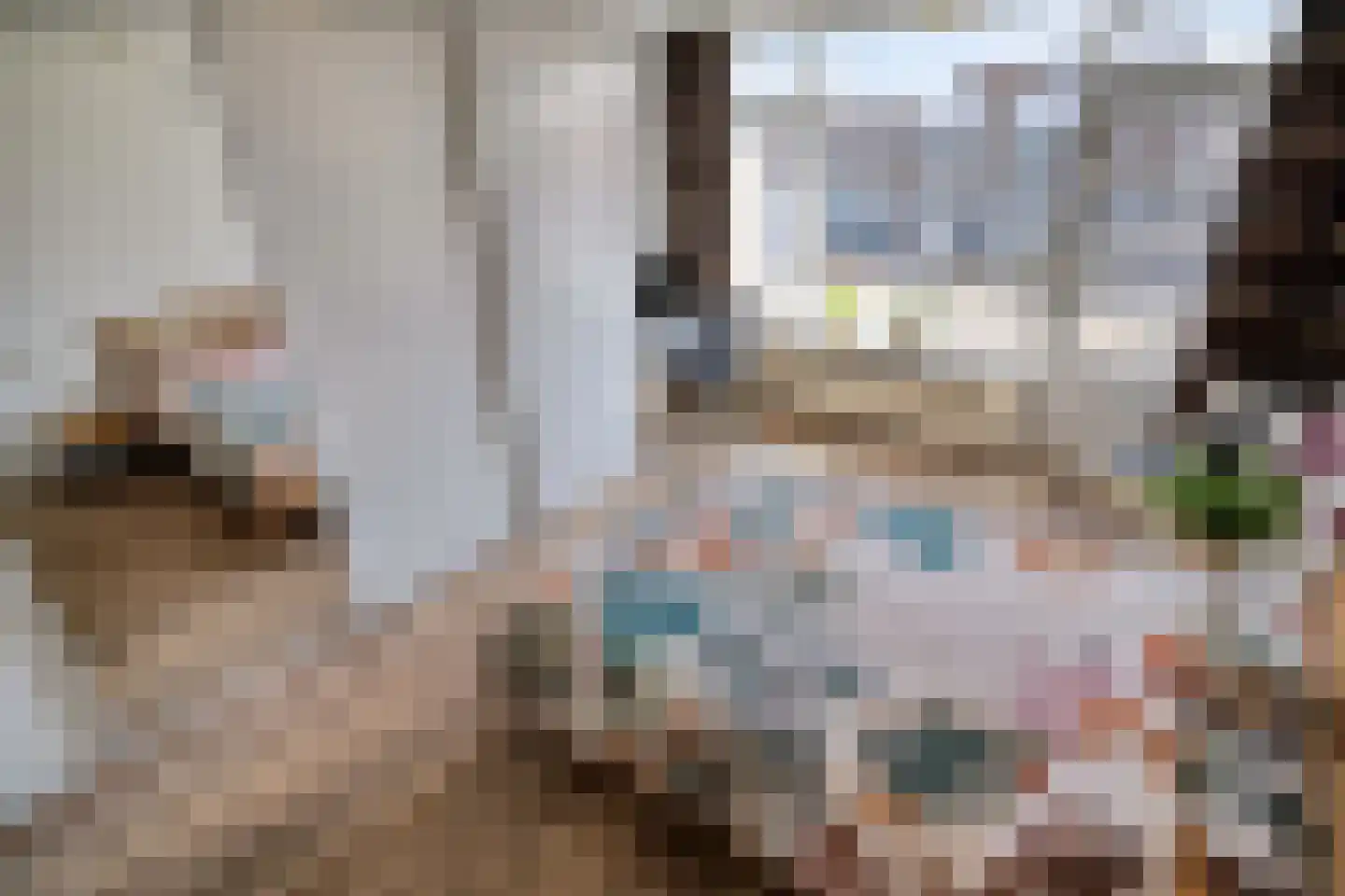 Voorstraat 44 Leiden thumbnail 32