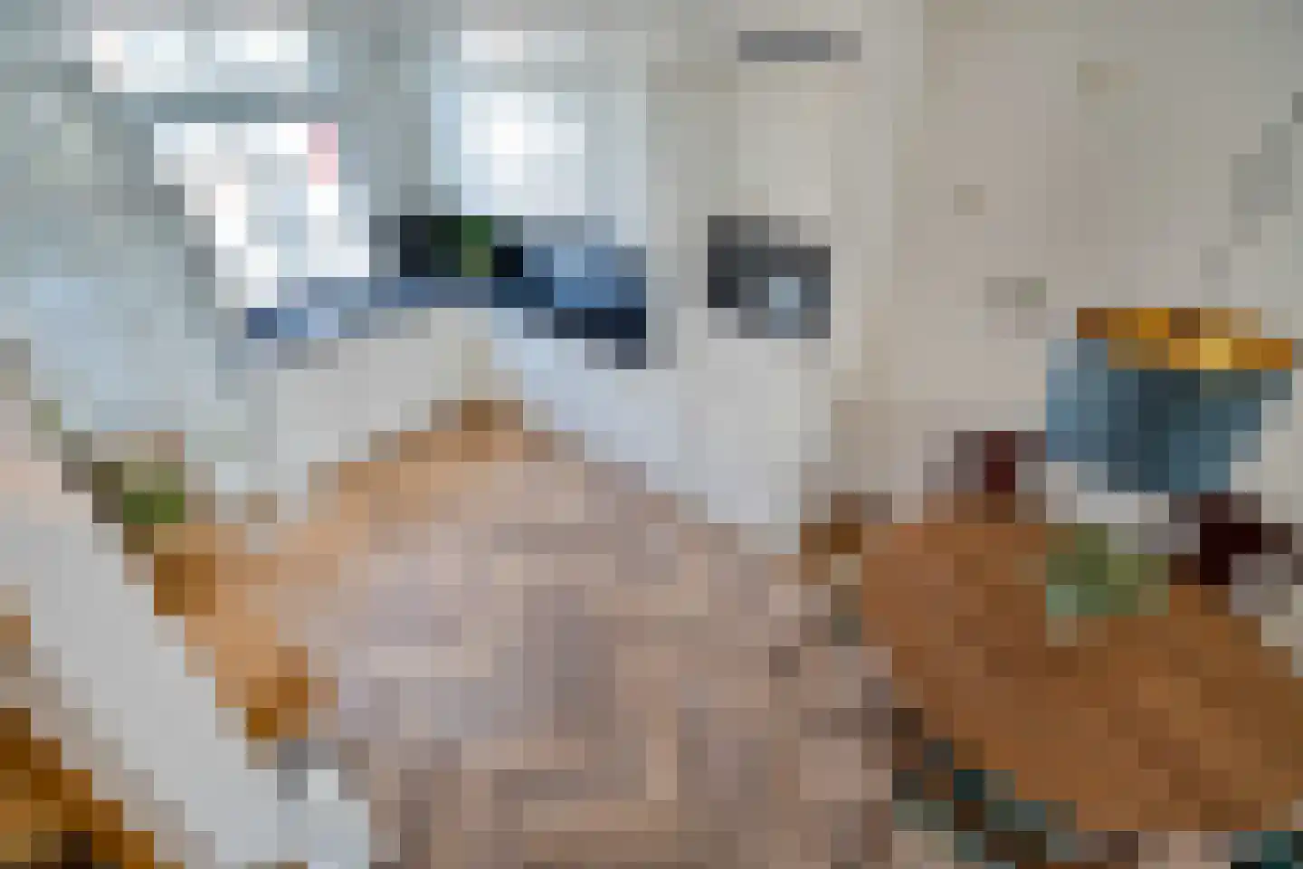 Voorstraat 44 Leiden thumbnail 5