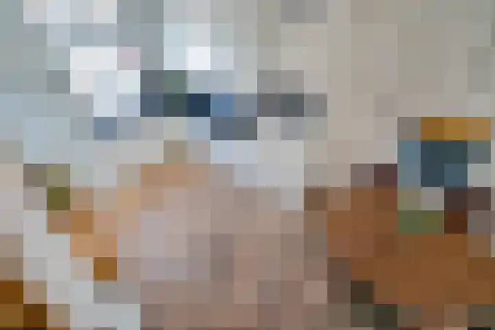 Voorstraat 44 Leiden thumbnail 5