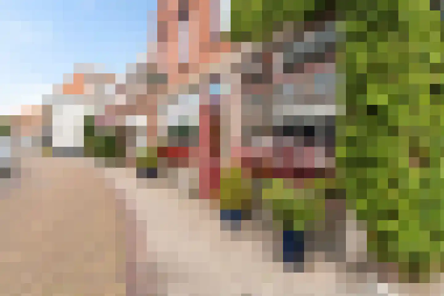 Voorstraat 44 Poeldijk thumbnail 16