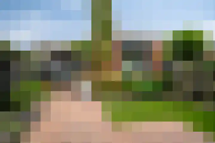 Voorstraat 44 Sint Philipsland thumbnail 33