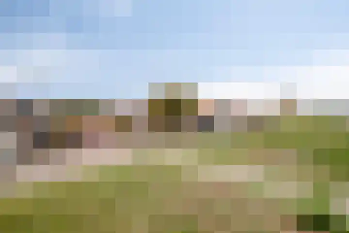 Voorstraat 44 Sint Philipsland thumbnail 41