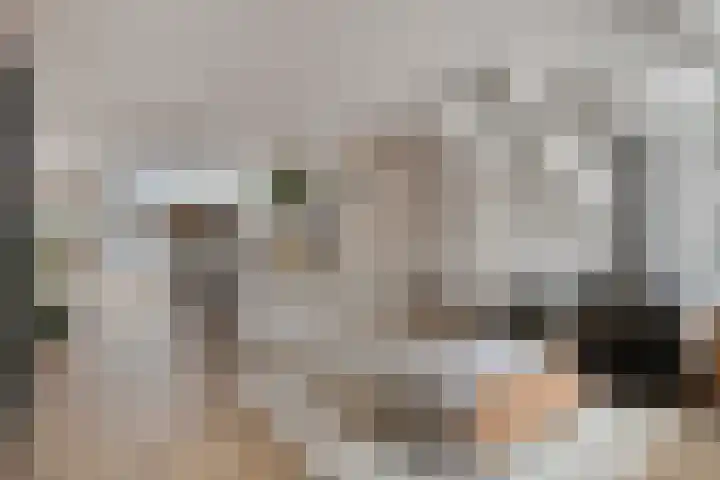 Voorstraat 44 Sint Philipsland thumbnail 6