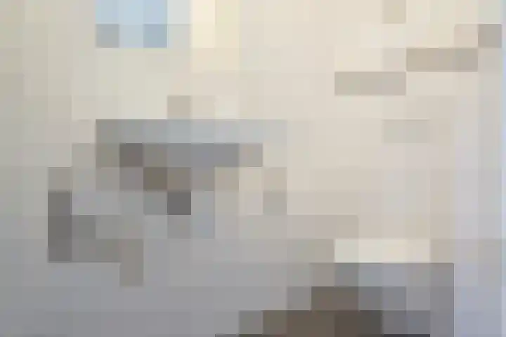 Voorstraat 45 D Utrecht thumbnail 24