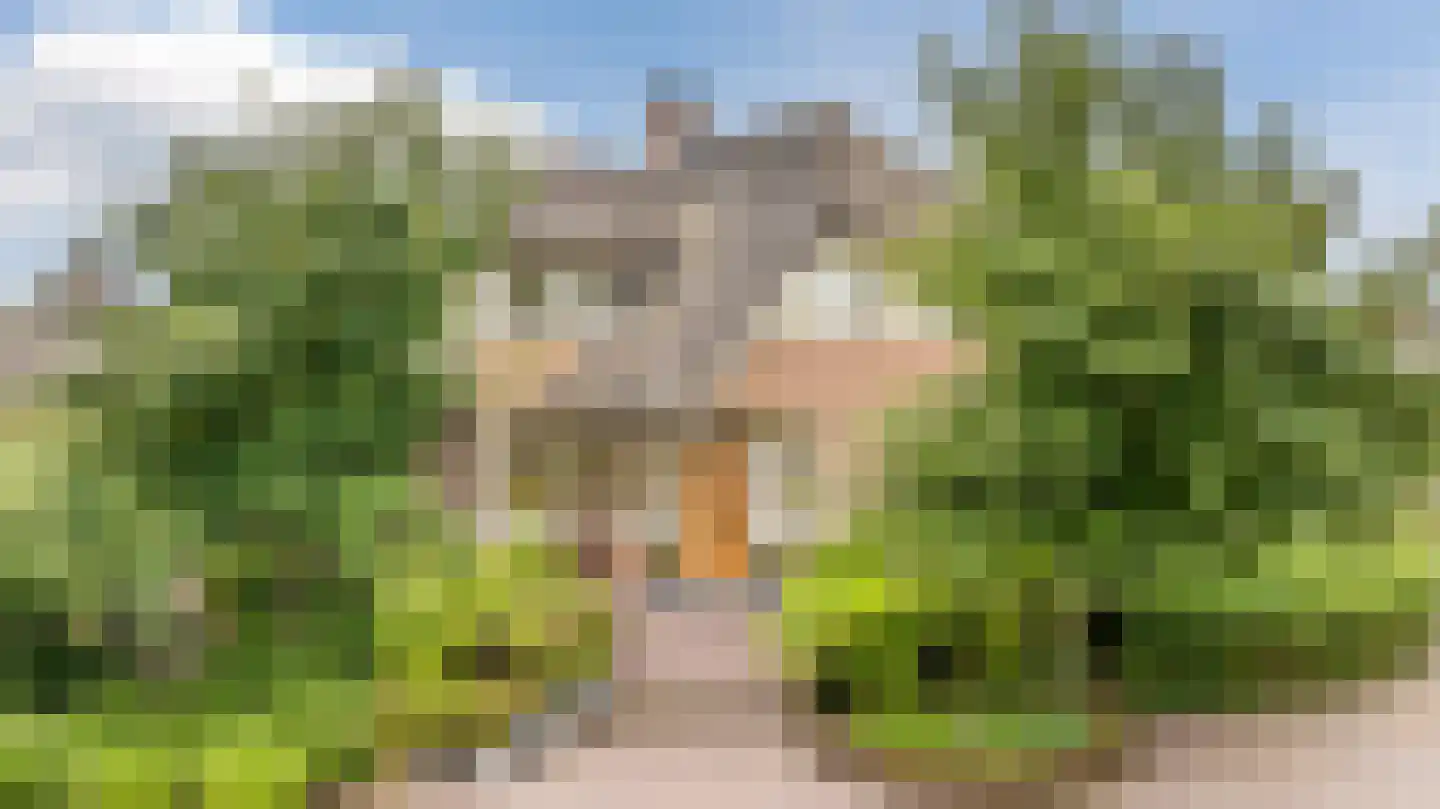 Voorstraat 45 Lienden thumbnail 102