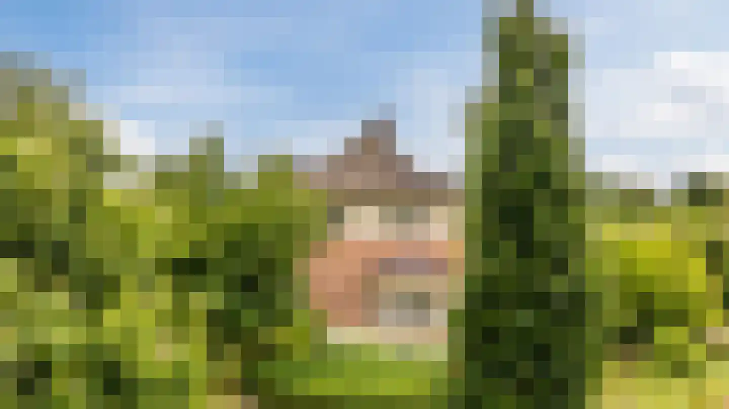 Voorstraat 45 Lienden thumbnail 105