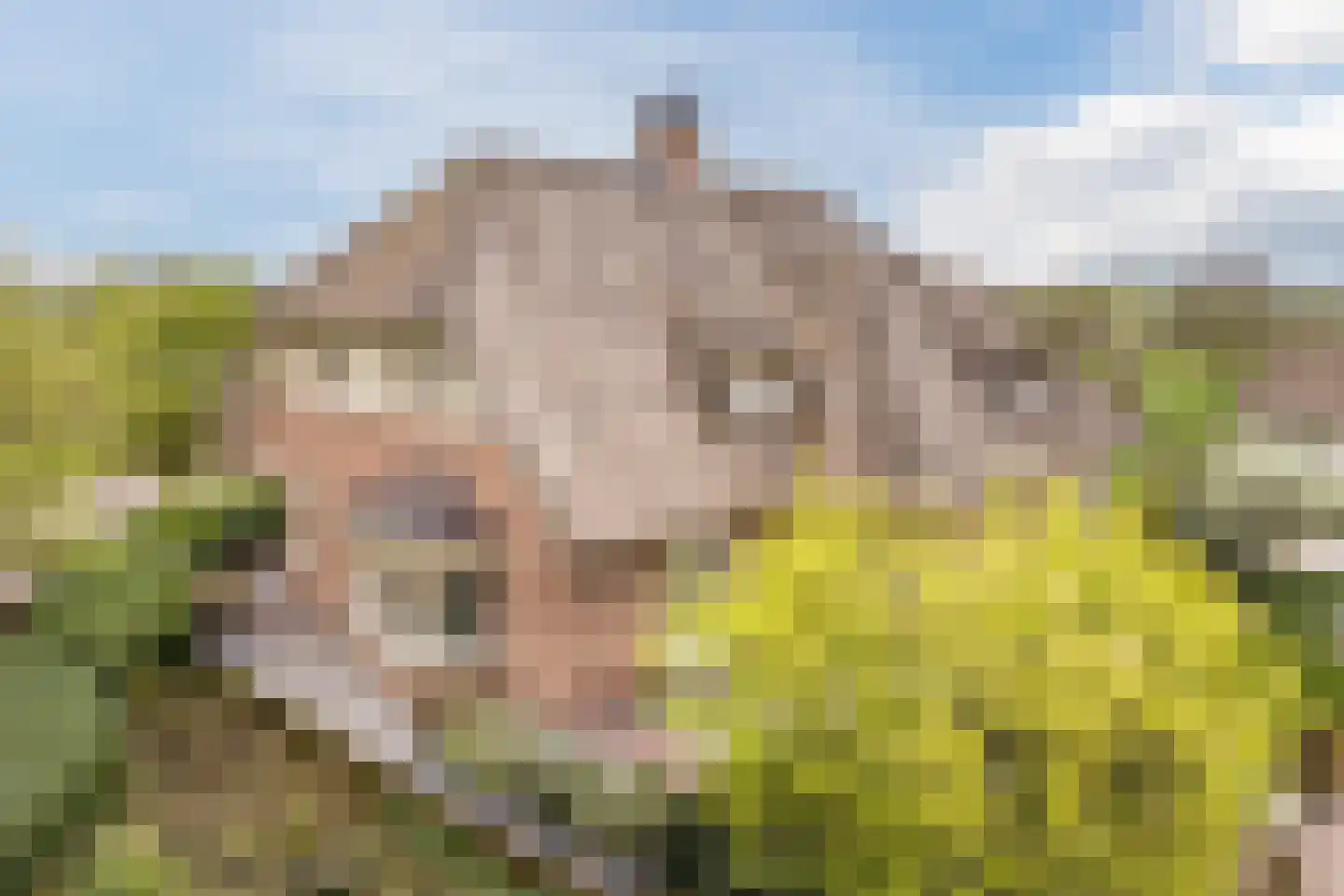 Voorstraat 45 Lienden thumbnail 108