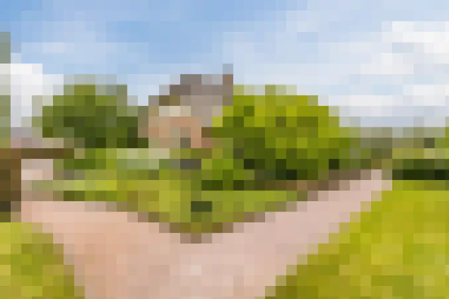 Voorstraat 45 Lienden thumbnail 109