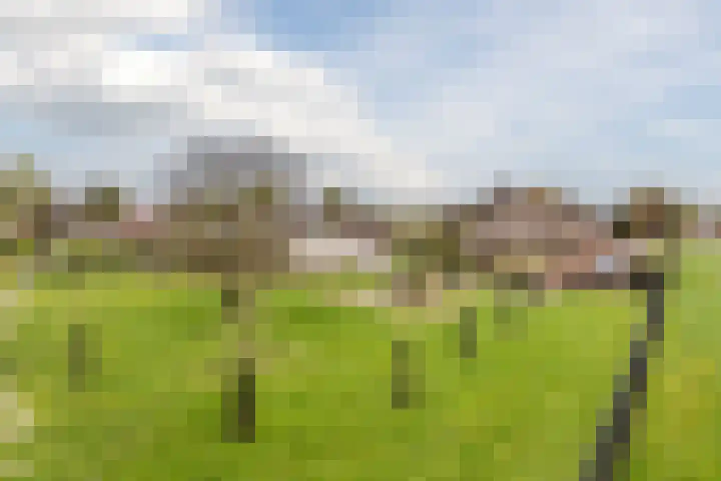 Voorstraat 45 Lienden thumbnail 122