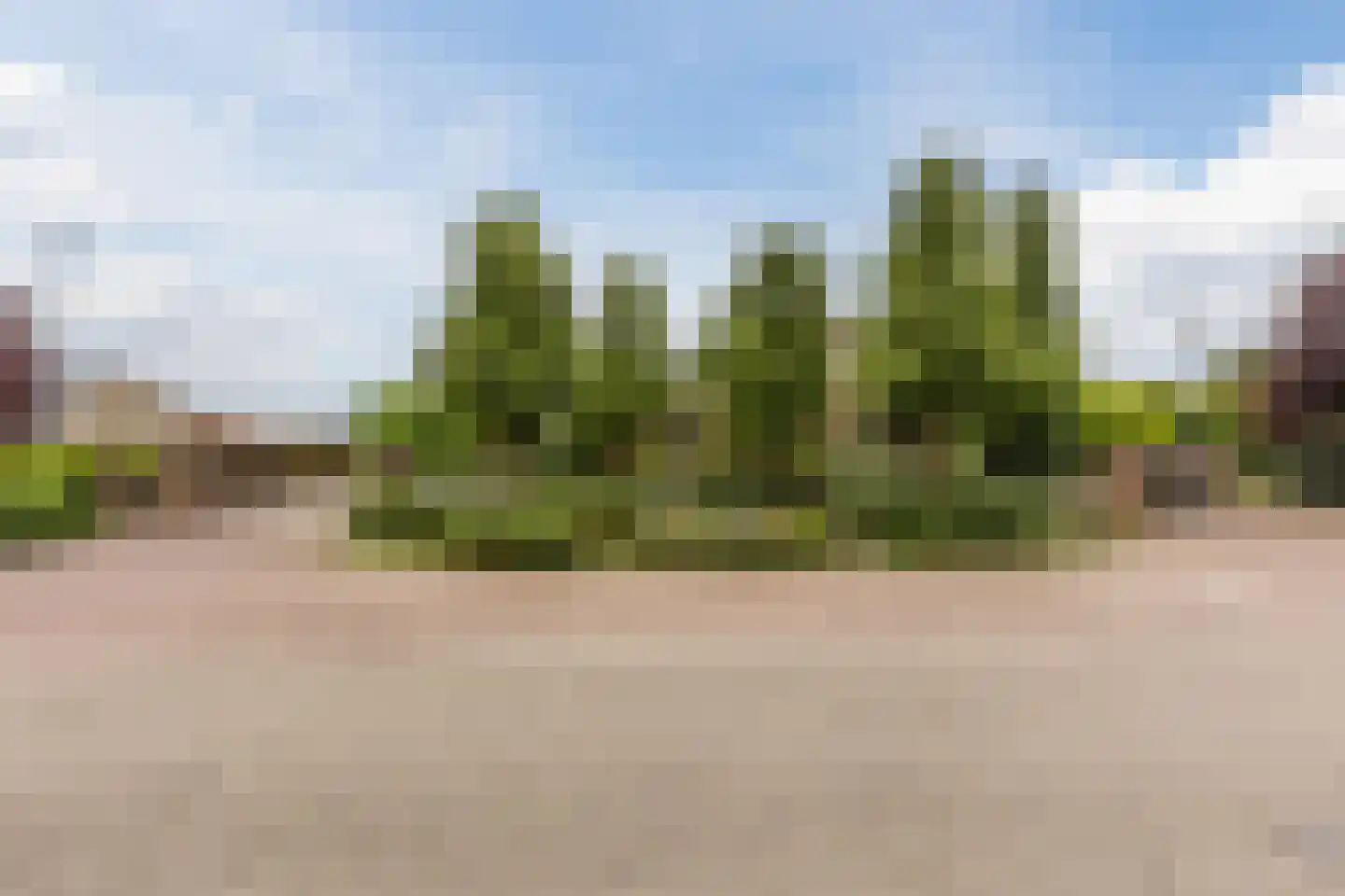 Voorstraat 45 Lienden thumbnail 132