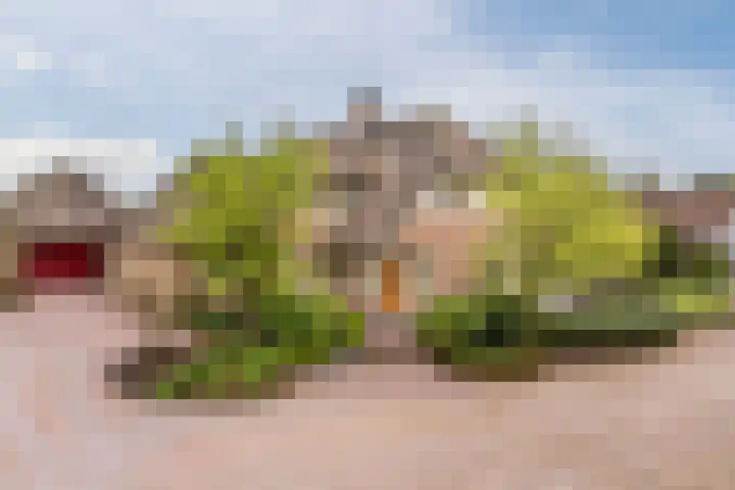 Voorstraat 45 Lienden thumbnail 32