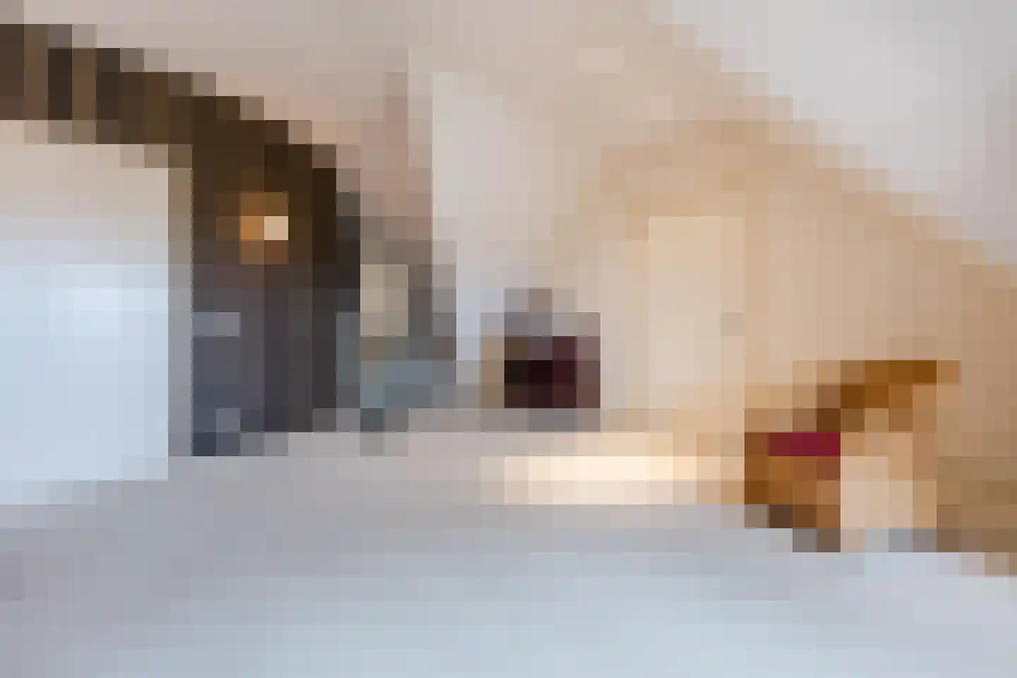 Voorstraat 45 Lienden thumbnail 41