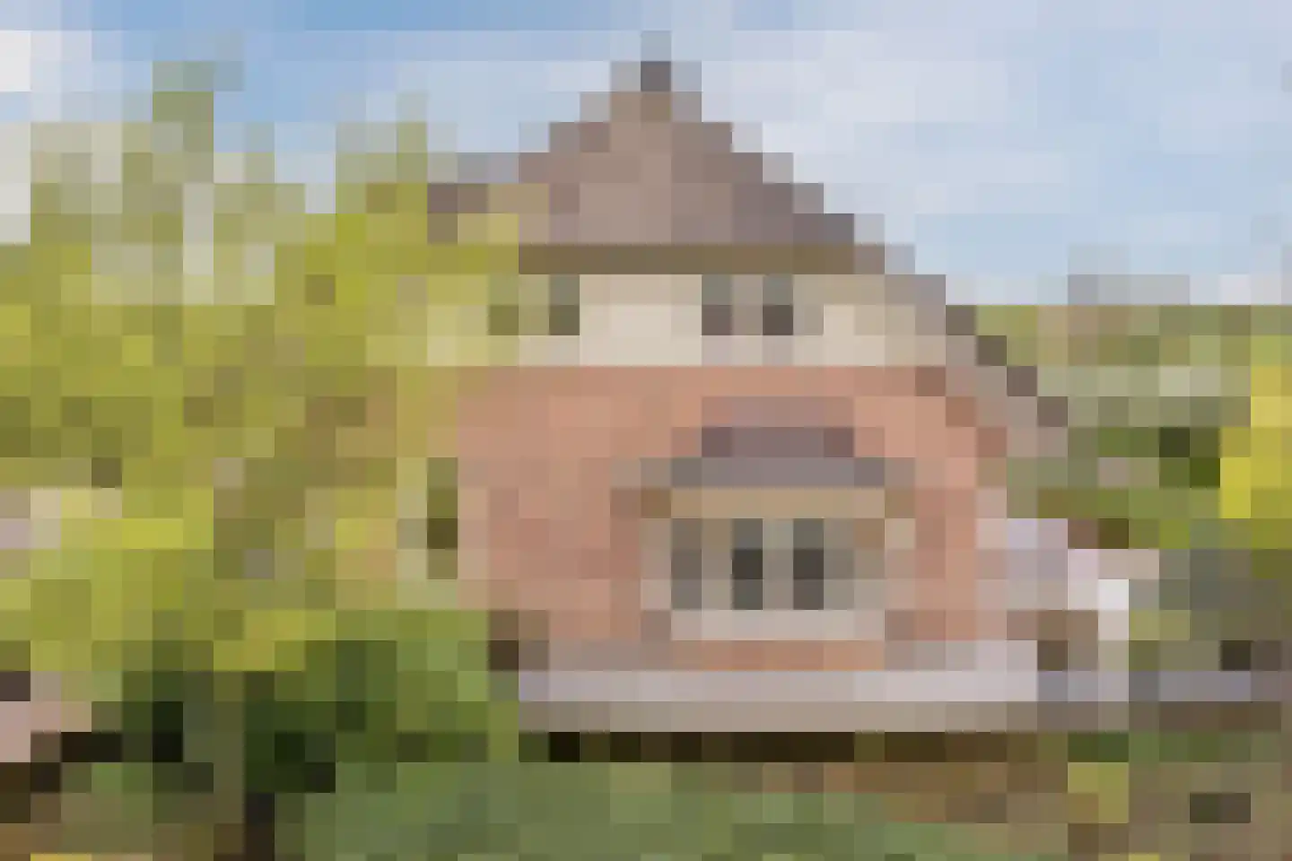 Voorstraat 45 Lienden thumbnail 45