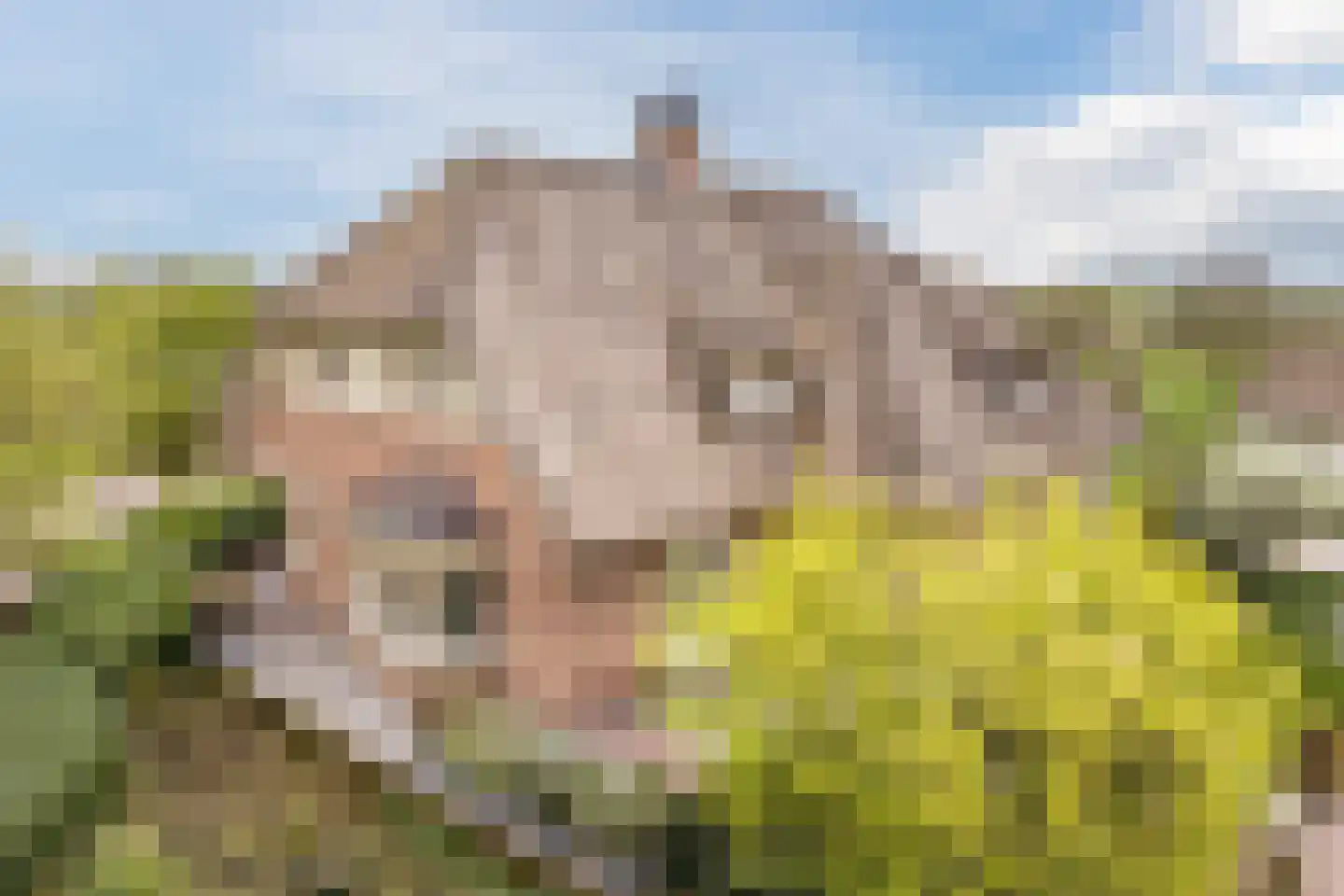 Voorstraat 45 Lienden thumbnail 46