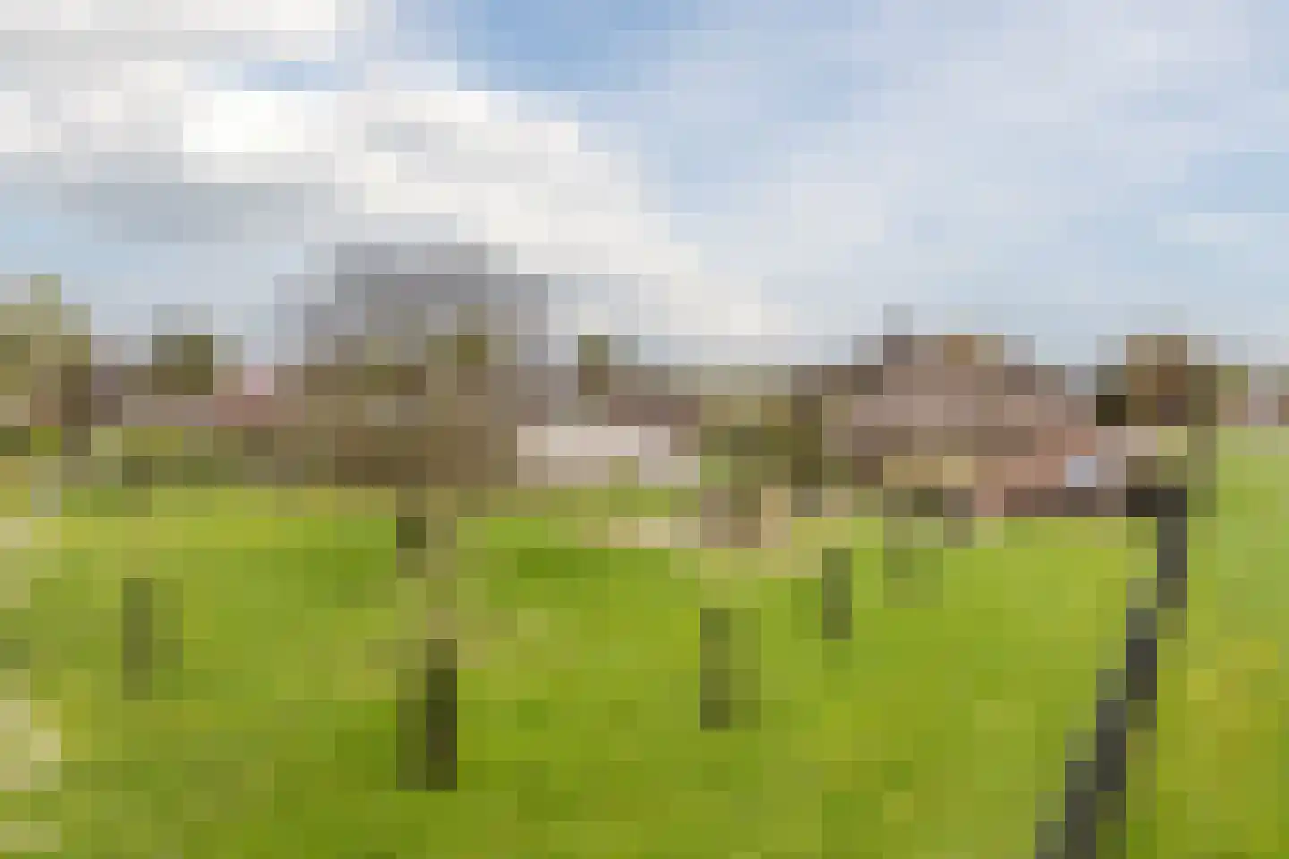 Voorstraat 45 Lienden thumbnail 48