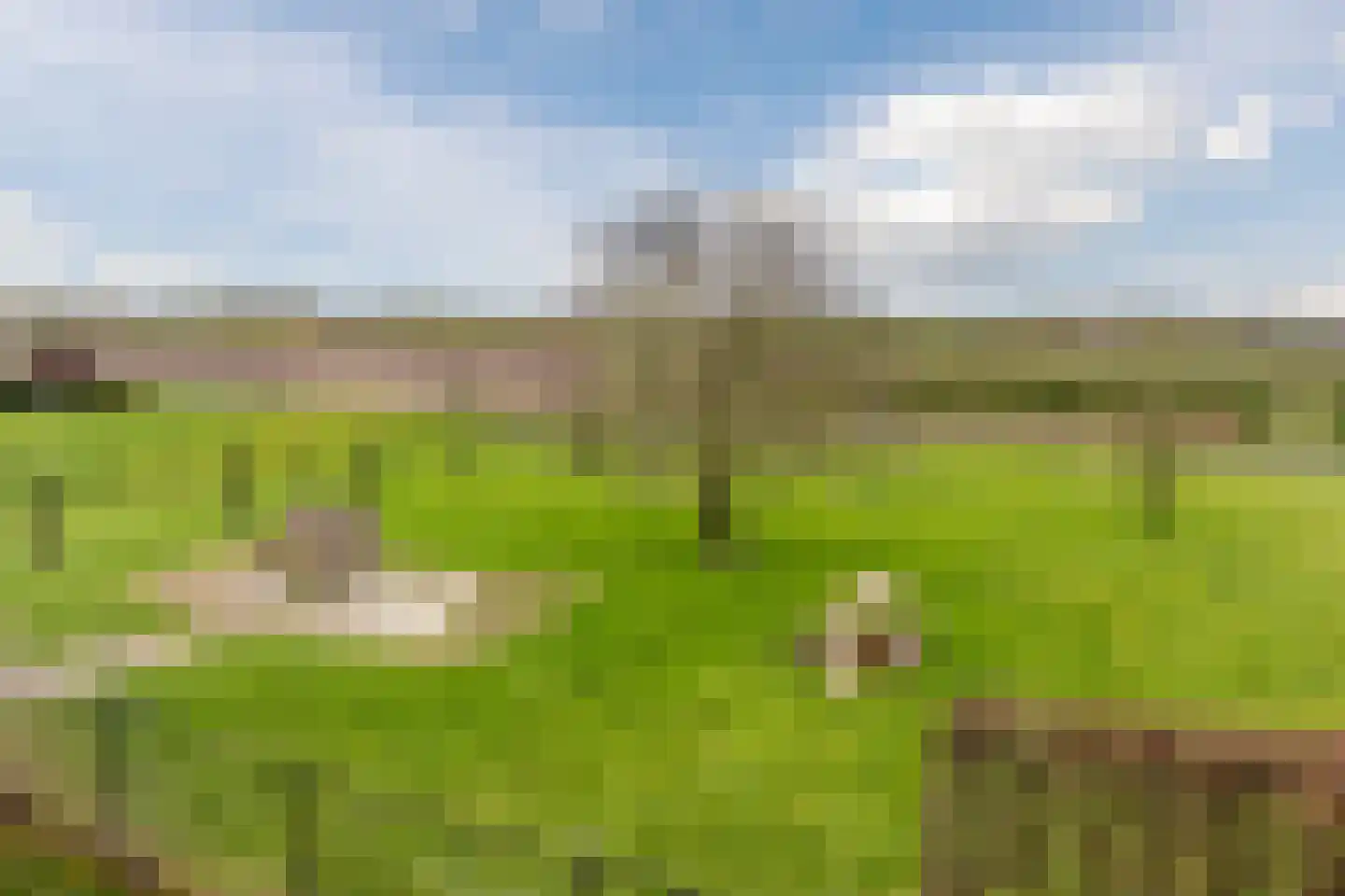 Voorstraat 45 Lienden thumbnail 49
