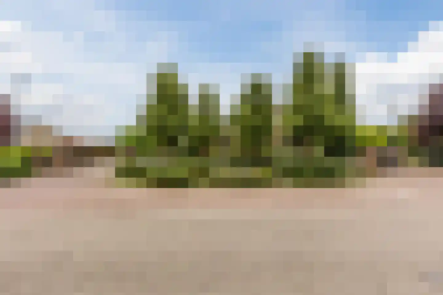 Voorstraat 45 Lienden thumbnail 50