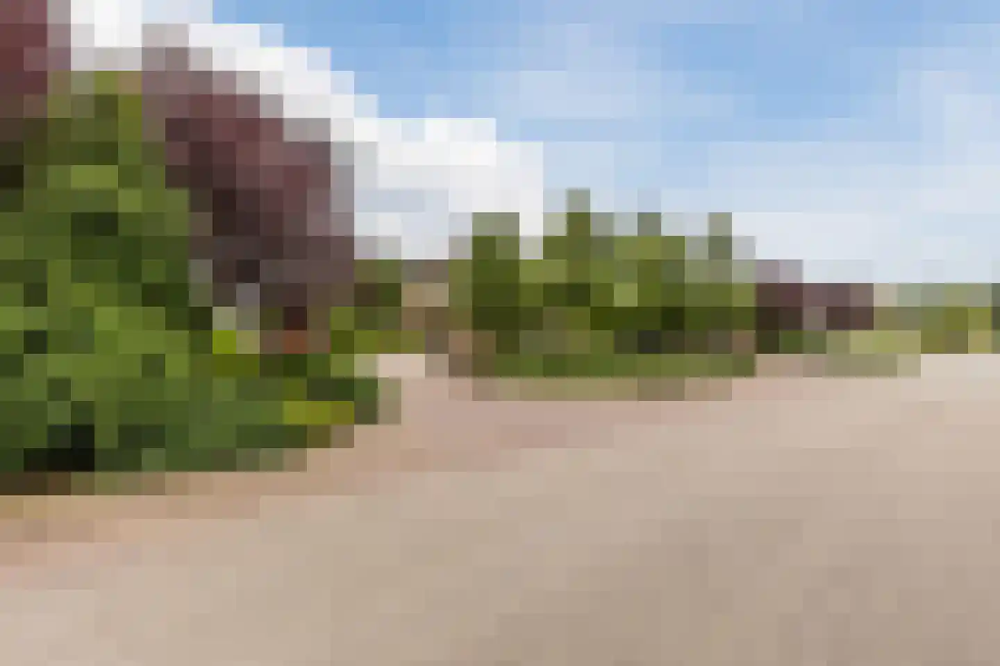 Voorstraat 45 Lienden thumbnail 51