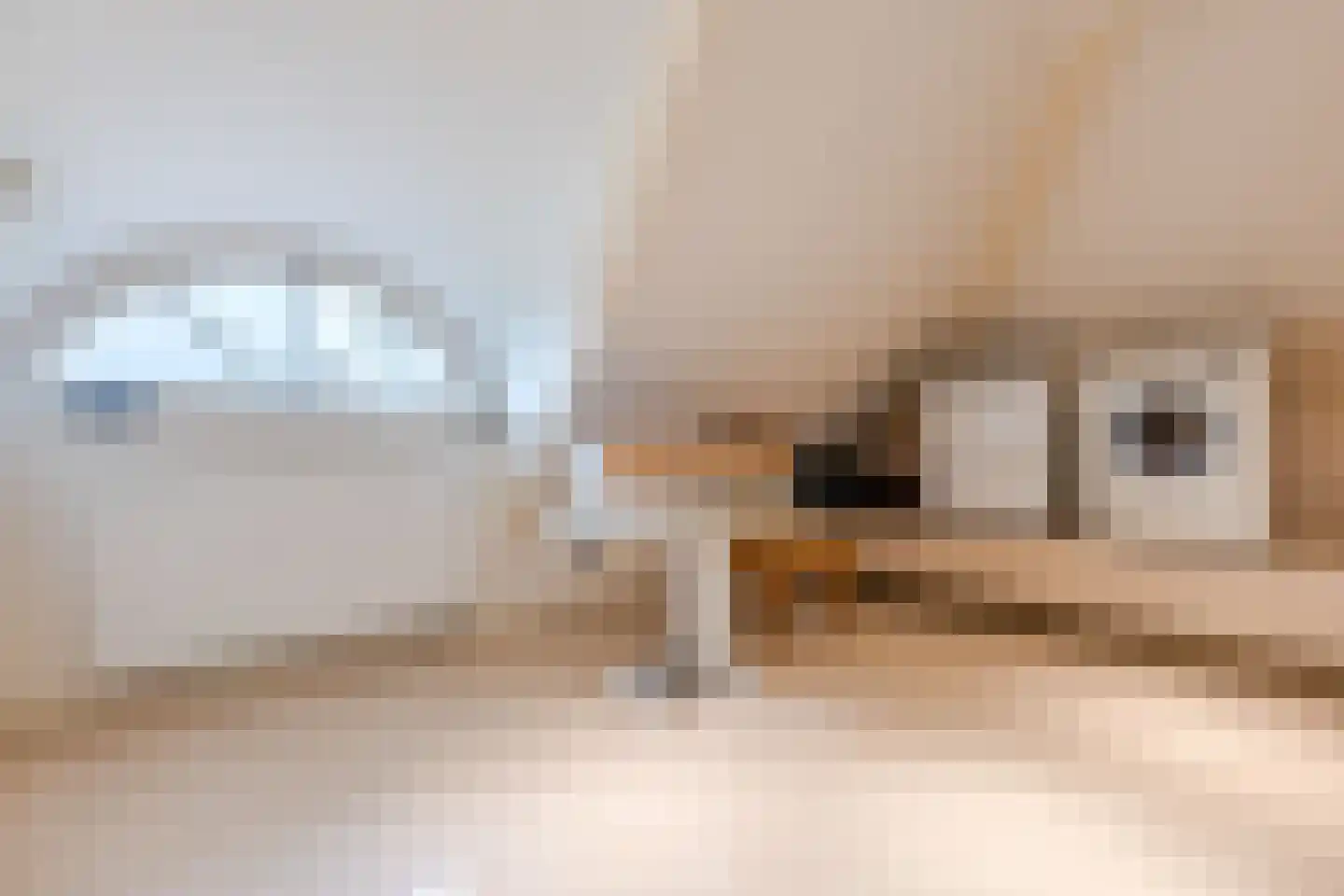Voorstraat 45 Lienden thumbnail 59