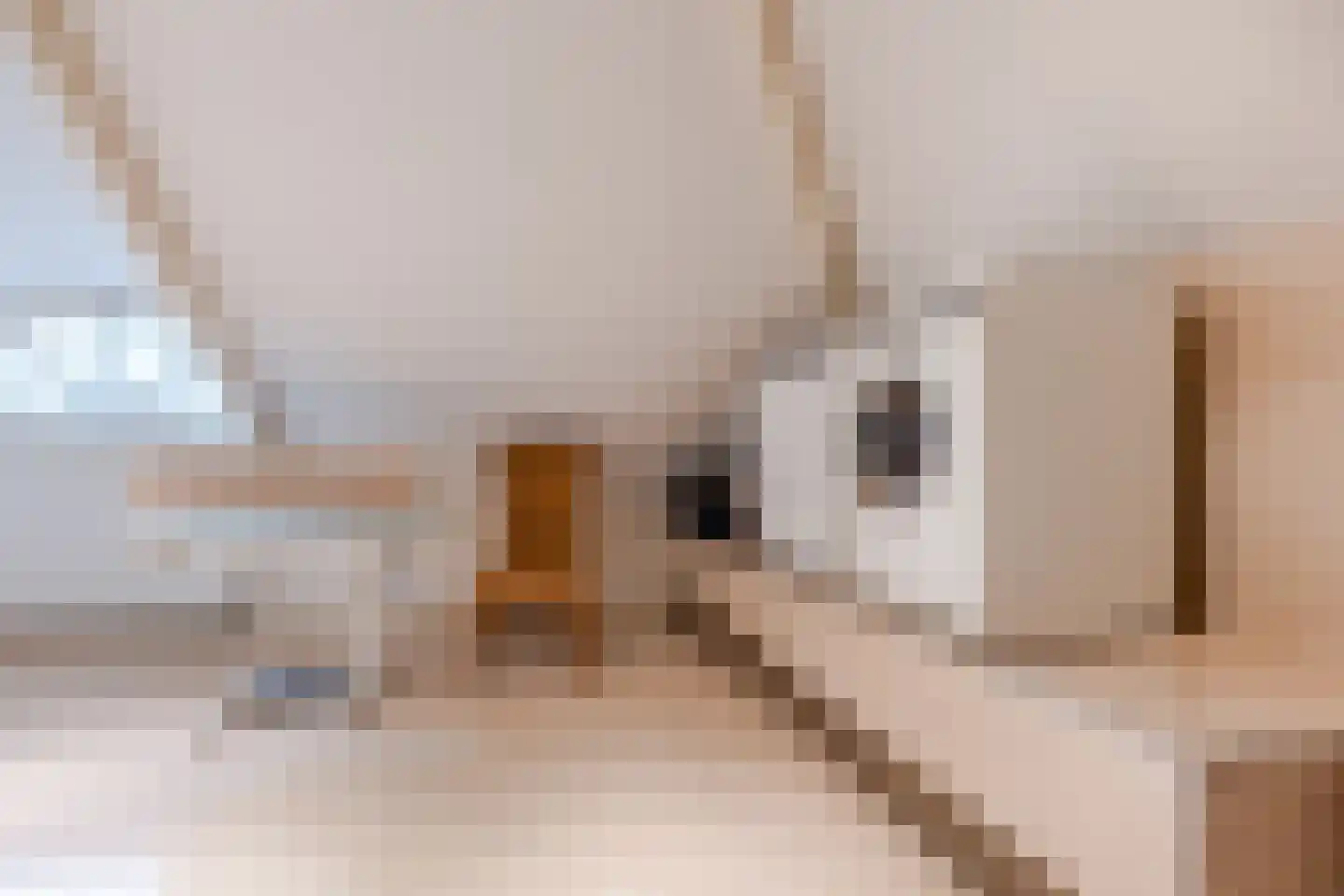Voorstraat 45 Lienden thumbnail 60