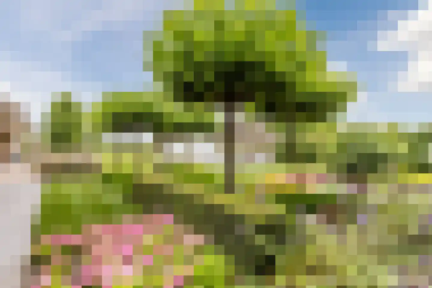 Voorstraat 45 Lienden thumbnail 73