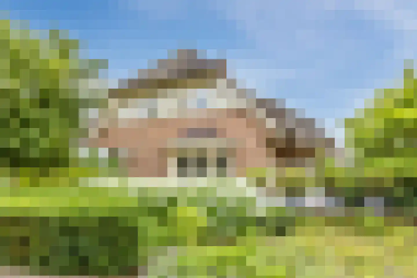 Voorstraat 45 Lienden thumbnail 75
