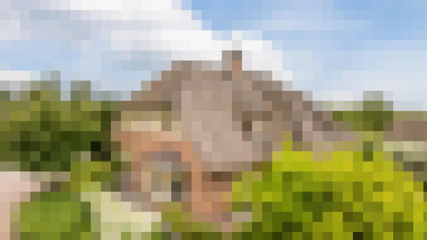 Voorstraat 45 Lienden thumbnail 81