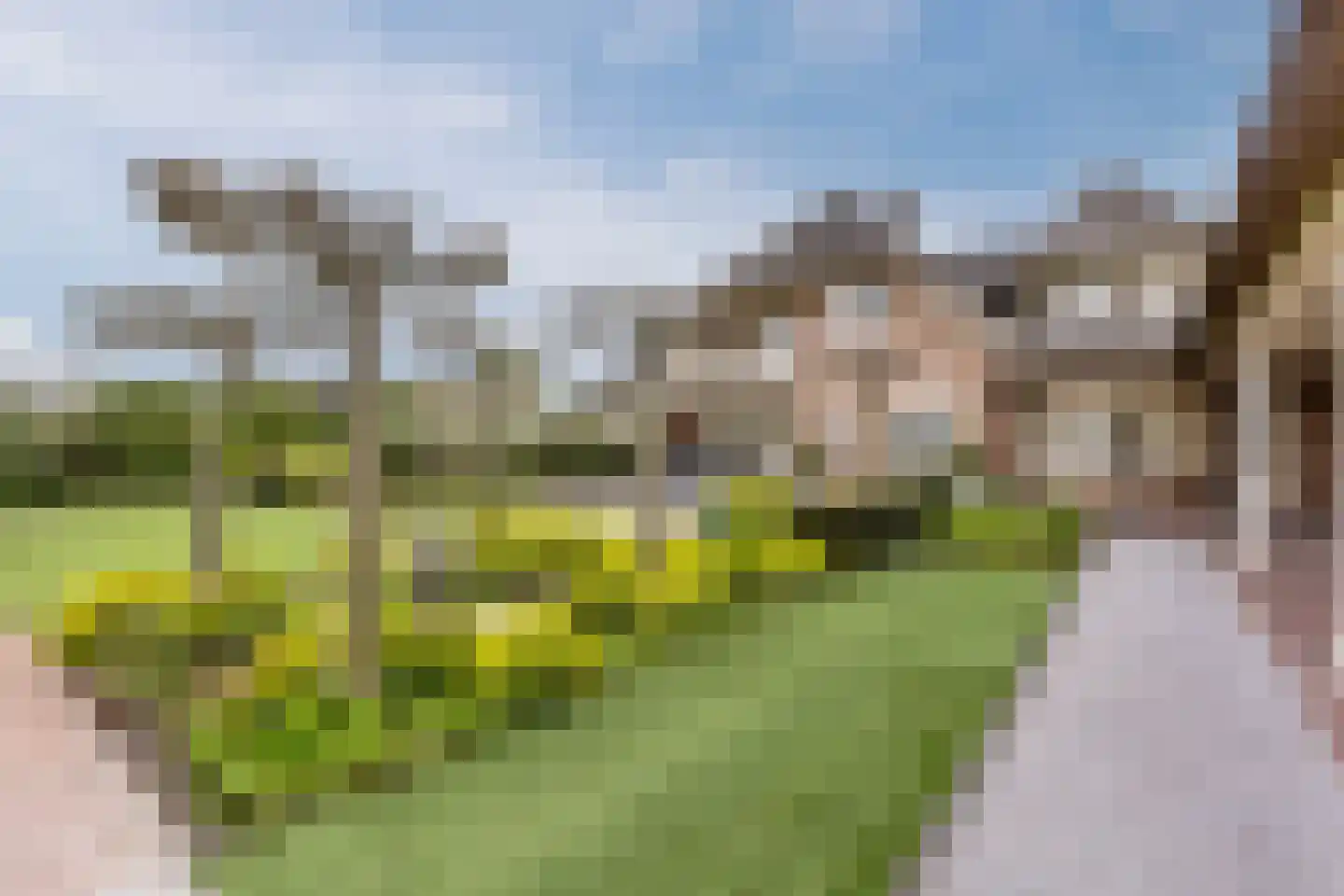 Voorstraat 45 Lienden thumbnail 82