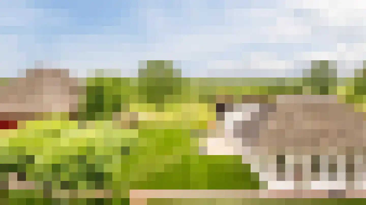 Voorstraat 45 Lienden thumbnail 89