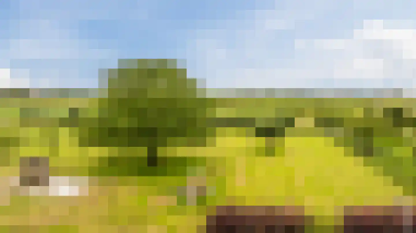 Voorstraat 45 Lienden thumbnail 93
