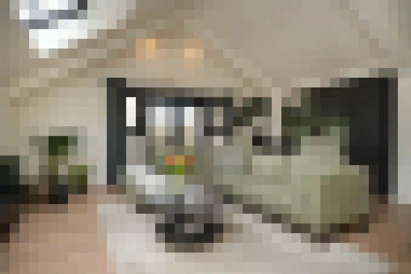 Voorstraat 46 A Groot-Ammers thumbnail 4