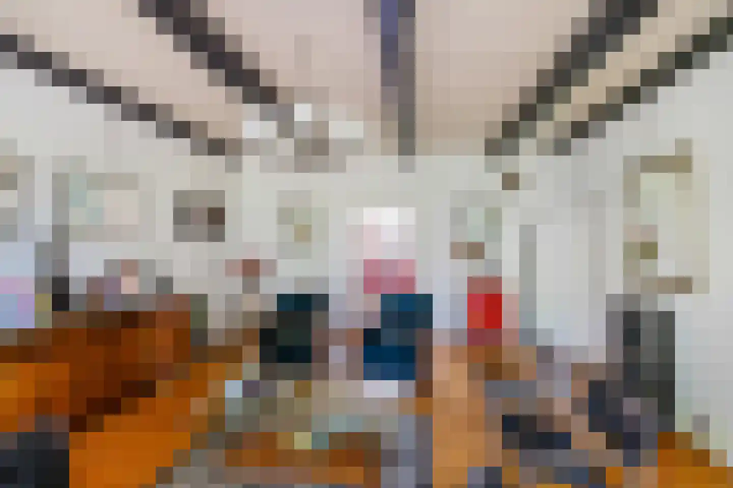 Voorstraat 46 Bad Nieuweschans thumbnail 10