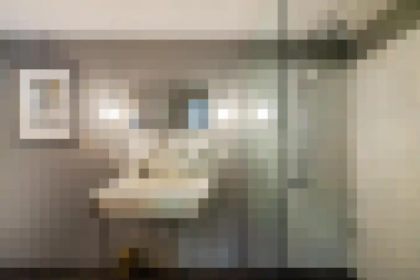 Voorstraat 46 Bad Nieuweschans thumbnail 19