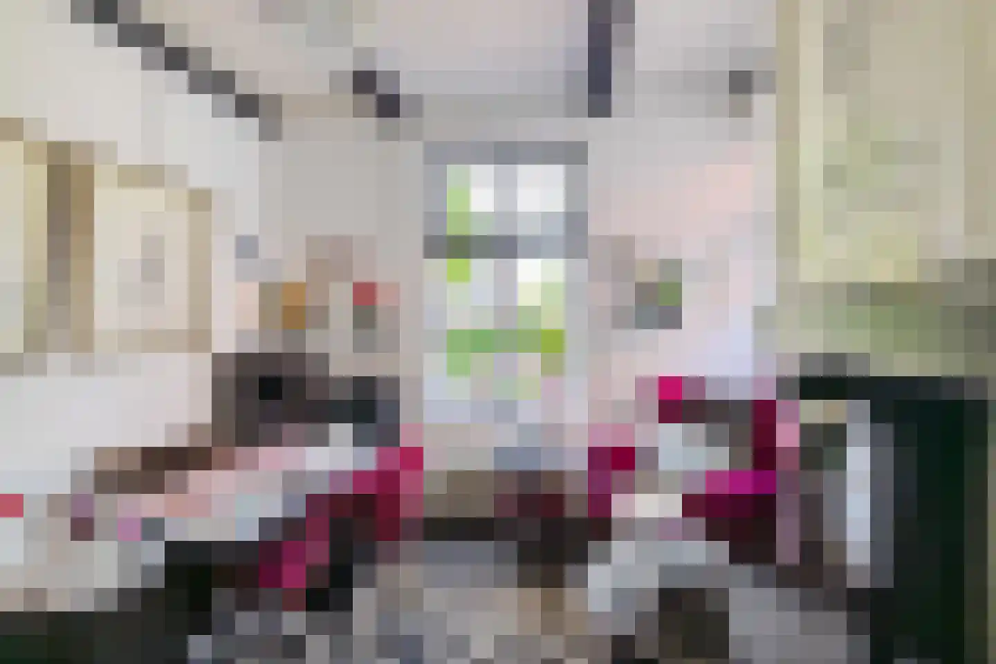 Voorstraat 46 Bad Nieuweschans thumbnail 20