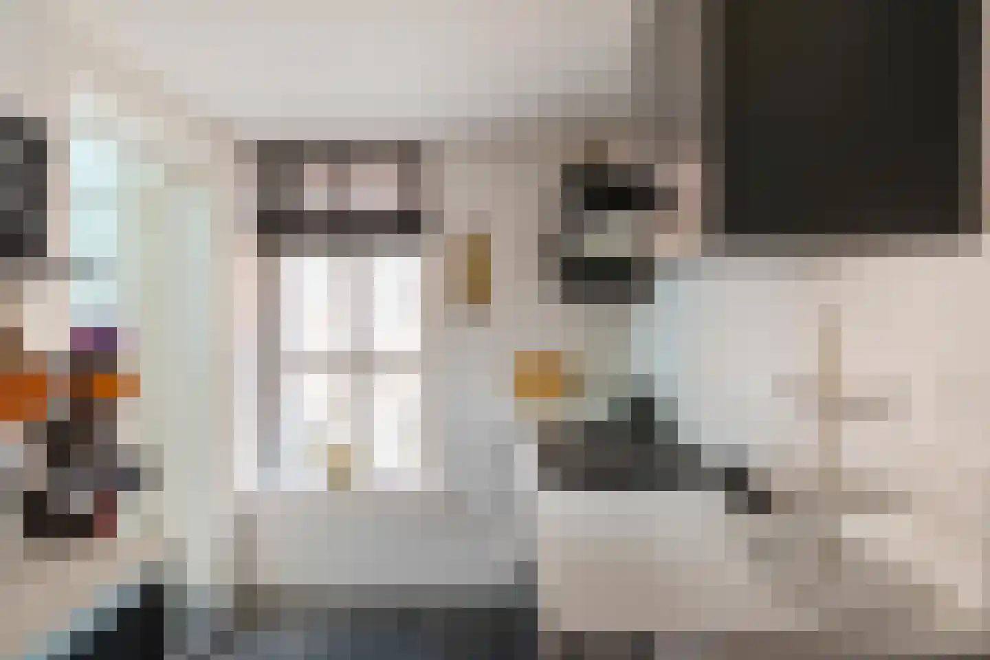 Voorstraat 46 Bad Nieuweschans thumbnail 24