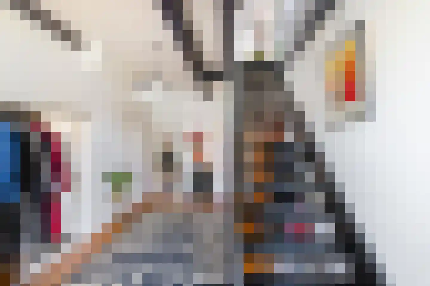 Voorstraat 46 Bad Nieuweschans thumbnail 28