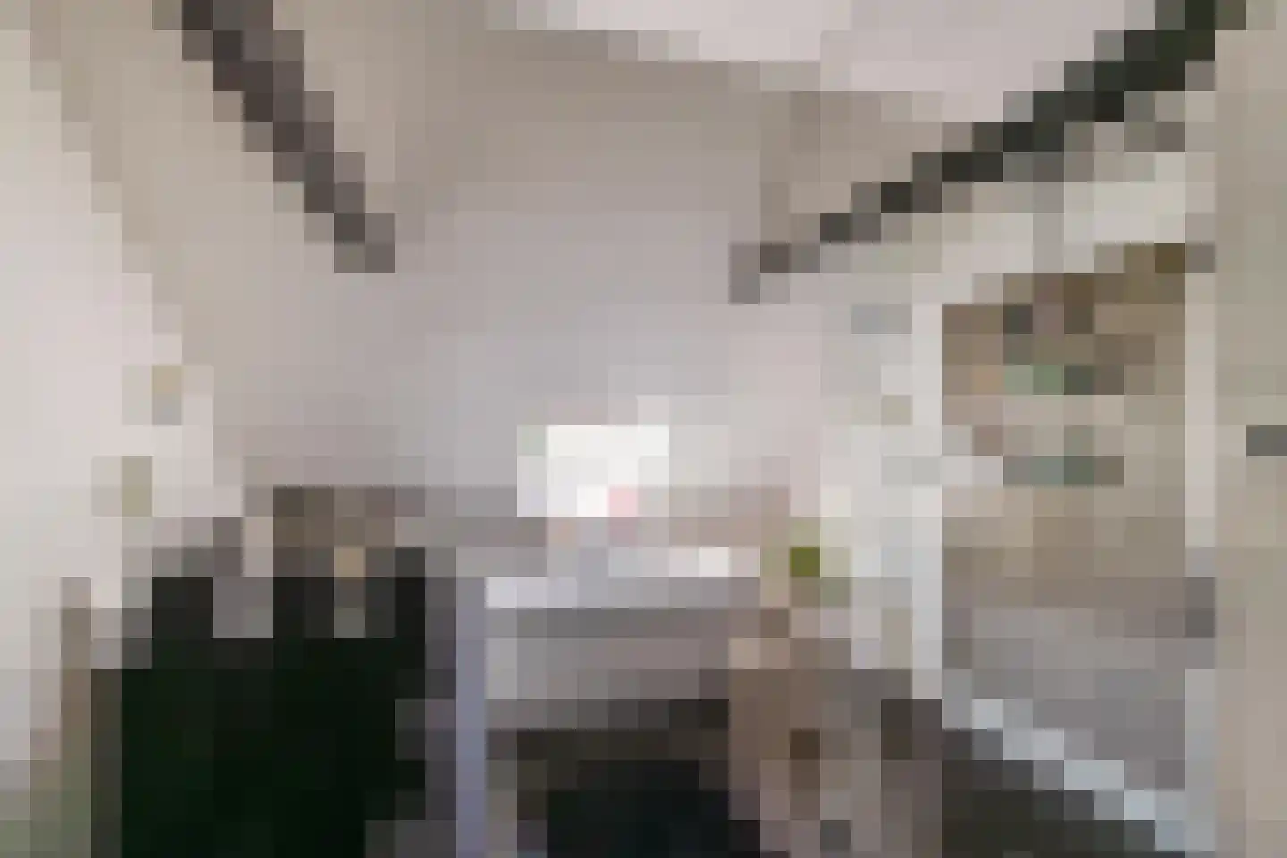 Voorstraat 46 Bad Nieuweschans thumbnail 30