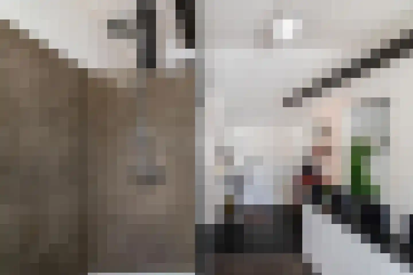 Voorstraat 46 Bad Nieuweschans thumbnail 31