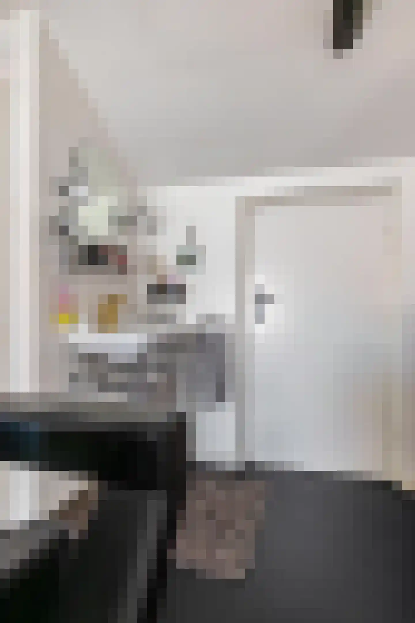 Voorstraat 46 Bad Nieuweschans thumbnail 35