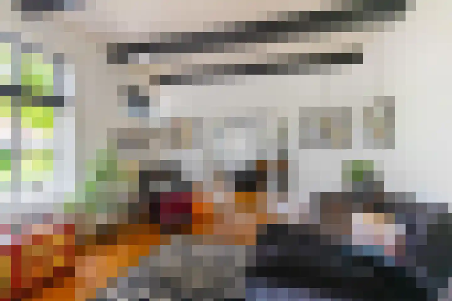 Voorstraat 46 Bad Nieuweschans thumbnail 9
