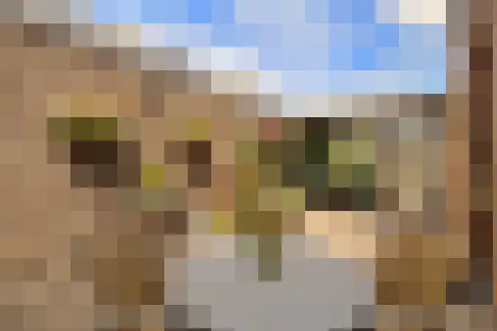 Voorstraat 47 Roosendaal thumbnail 38