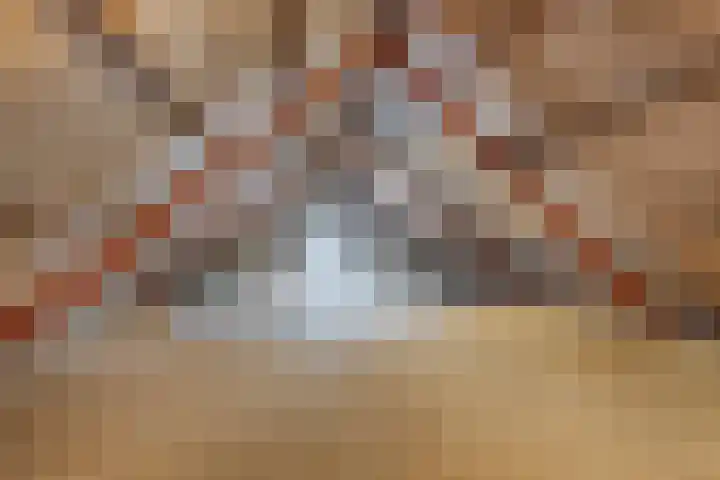 Voorstraat 47 Velddriel thumbnail 4