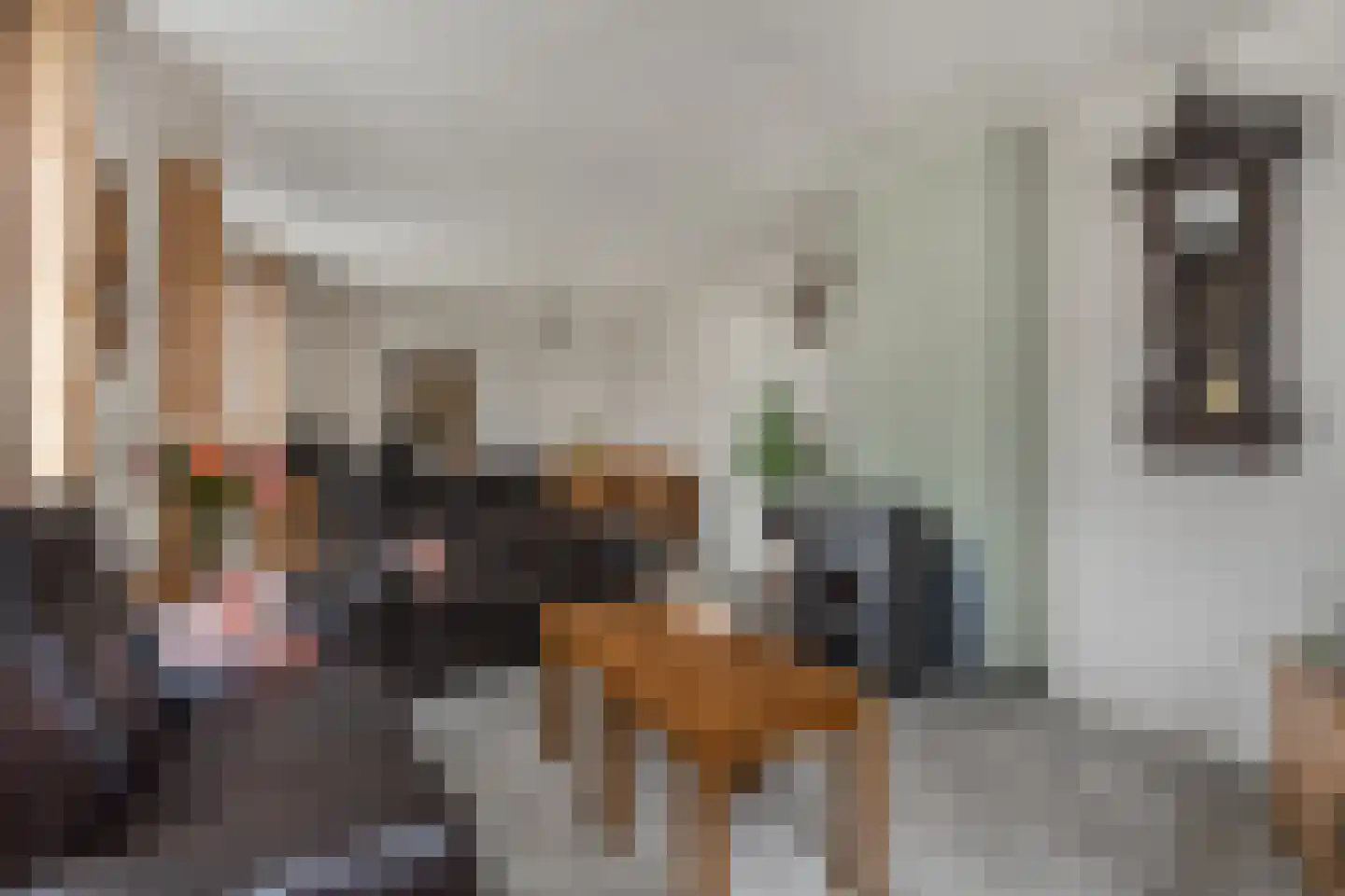 Voorstraat 47 Velddriel thumbnail 9