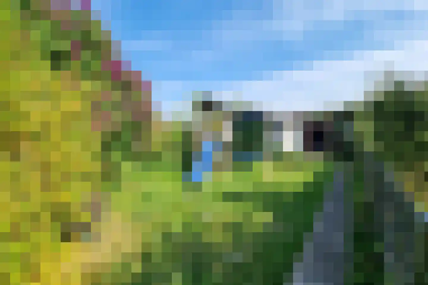 Voorstraat 48 Groede thumbnail 37